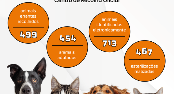 feed_resultados_2025