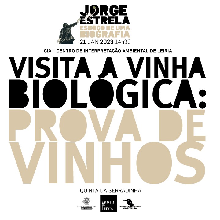 Visita a Vinha Biológica: Prova de Vinhos