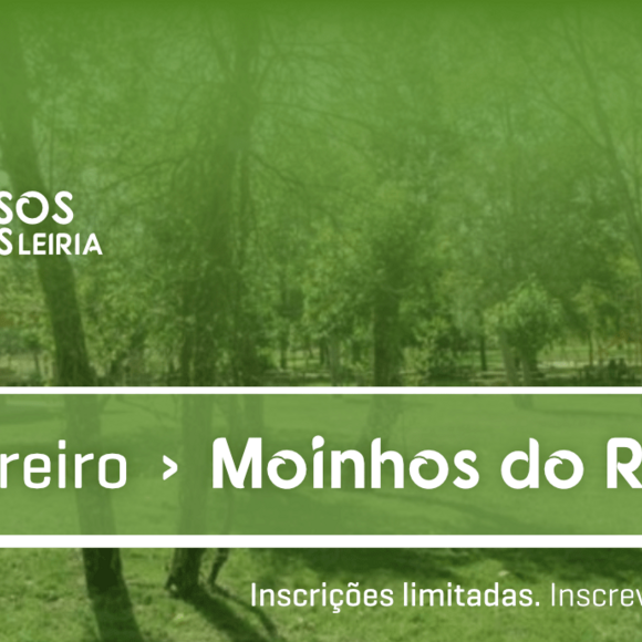 273470040_494495802033443_5415017631846156132_n