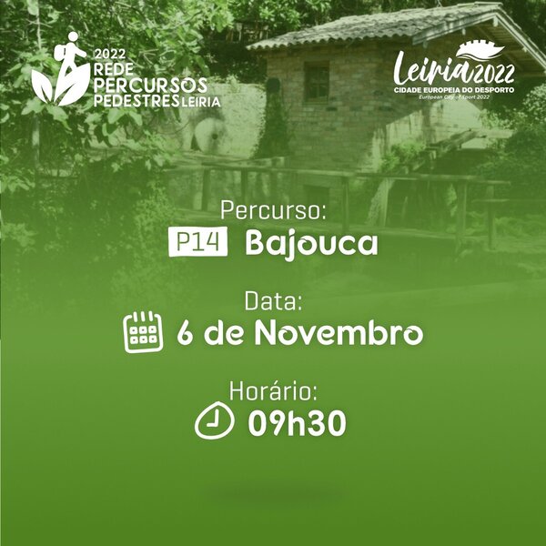 311574746_590733092850494_2442937687418219628_n