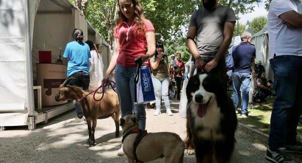 347416337_1195739057779525_4733061643610218664_n