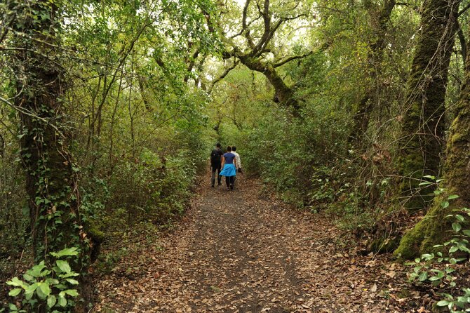 Rota da floresta 1 670 999