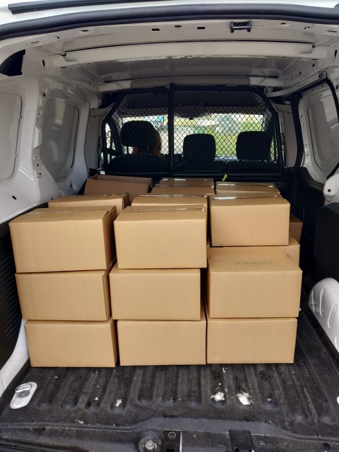 Img 20210212 wa0011 1 670 999