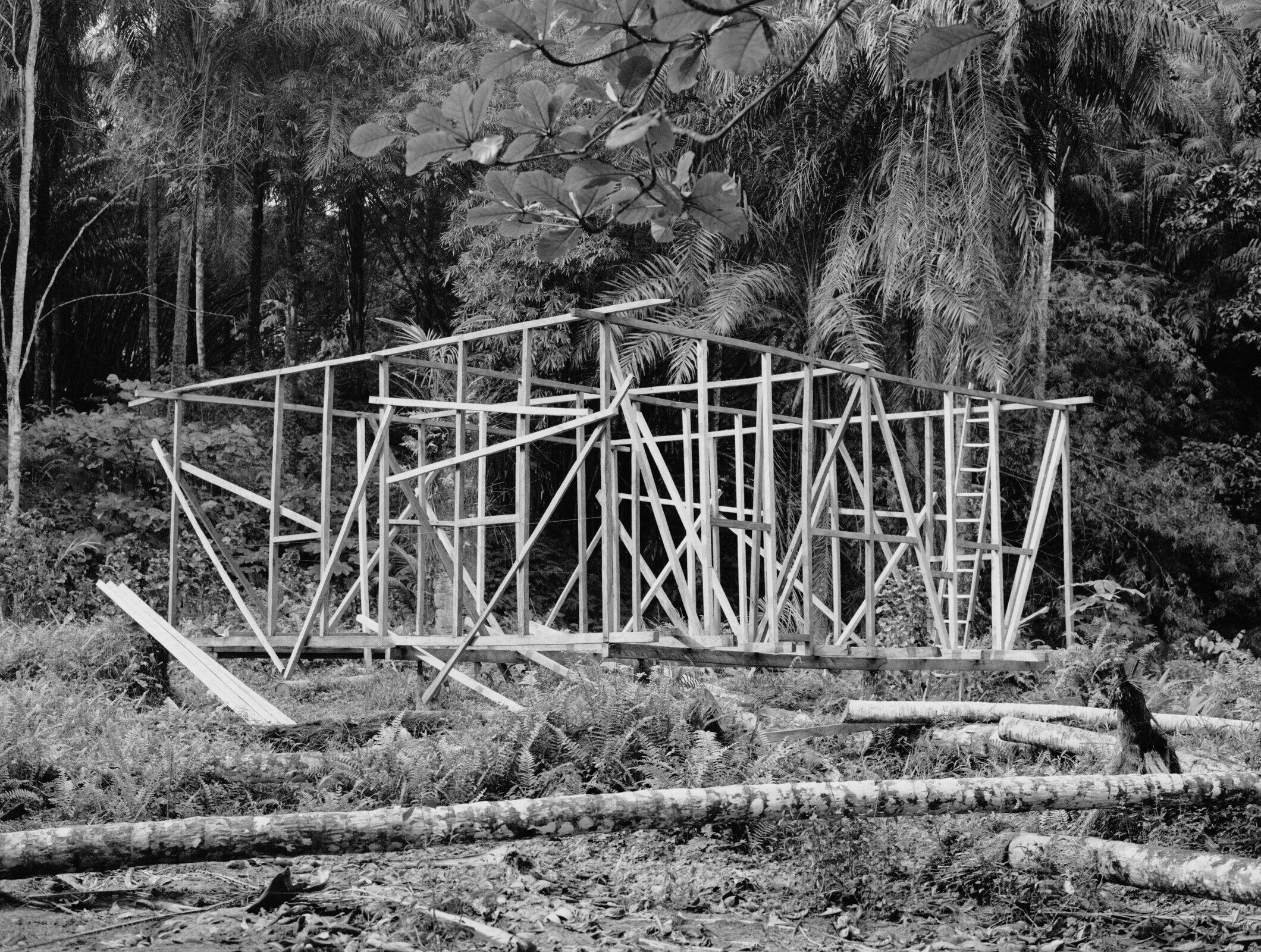 A Turtle With a Broken Back | Exposição de Fotografia de Tiago Casanova no m|i|mo