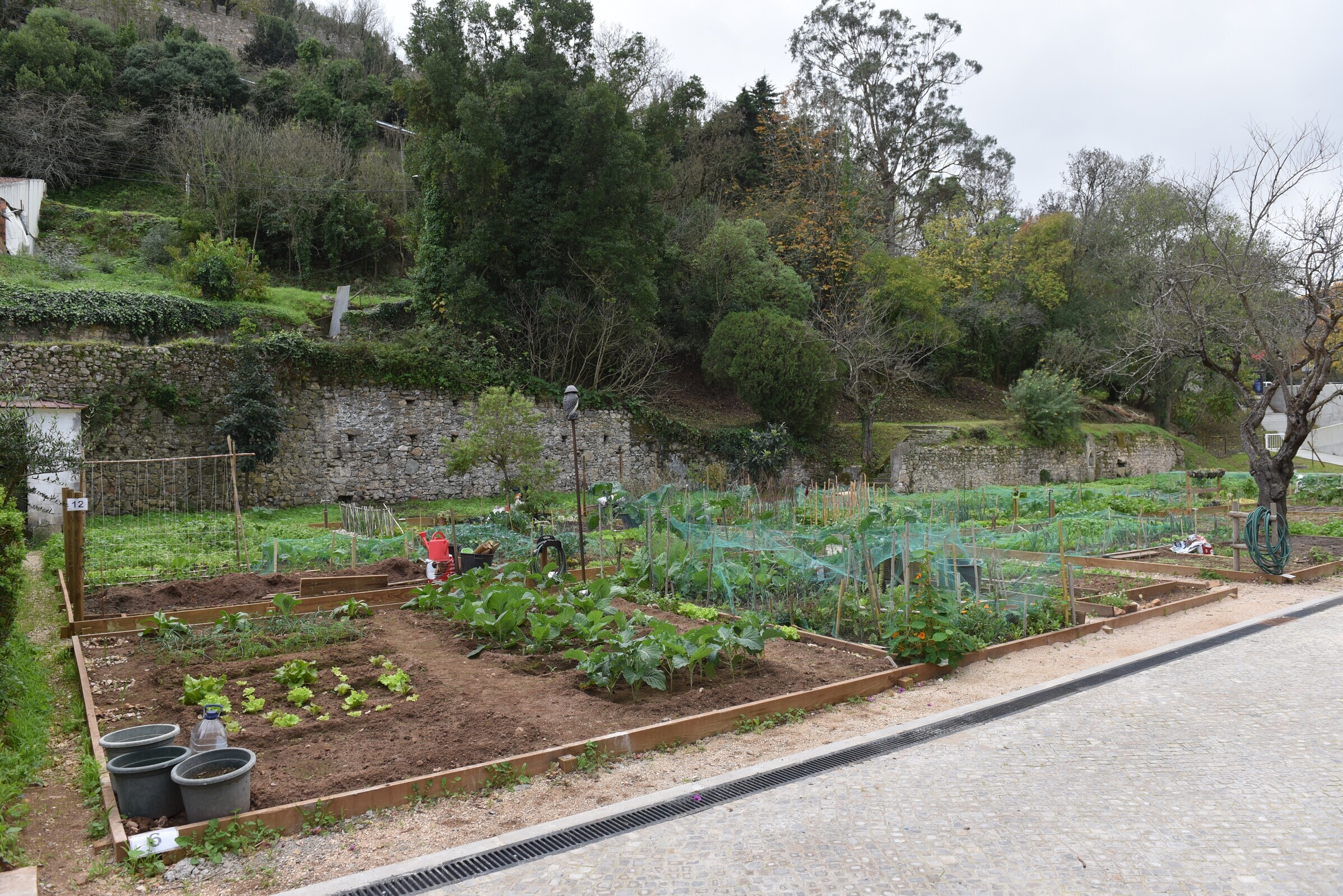 Projeto Hortas Verdes promove a requalificação e expansão das hortas comunitárias biológicas no c...