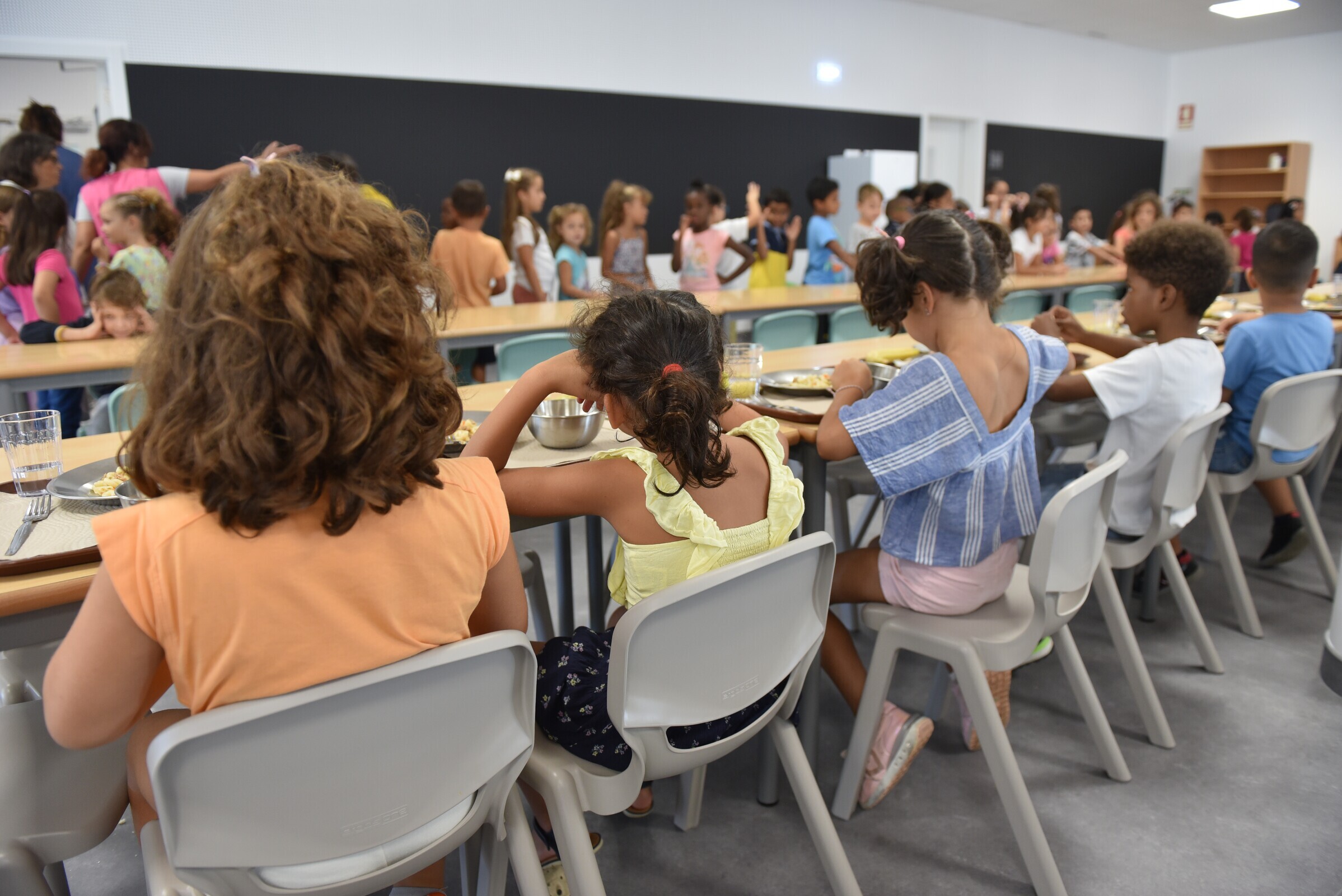 Programa Prato Sustentável nas Escolas: Uma Iniciativa para uma alimentação mais saudável e amiga...