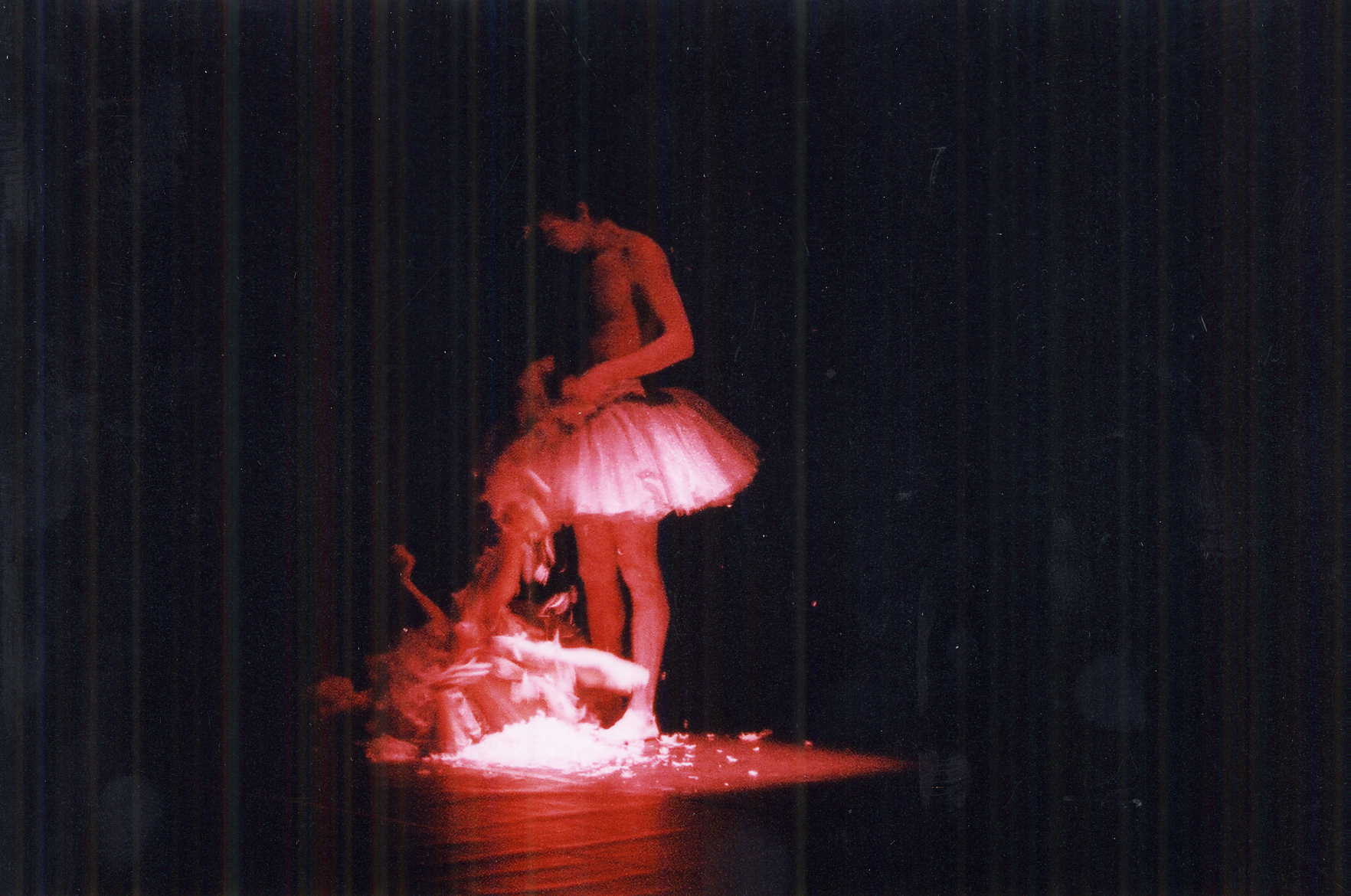 Município de Leiria atribui meio milhão de euros a 105 projetos culturais