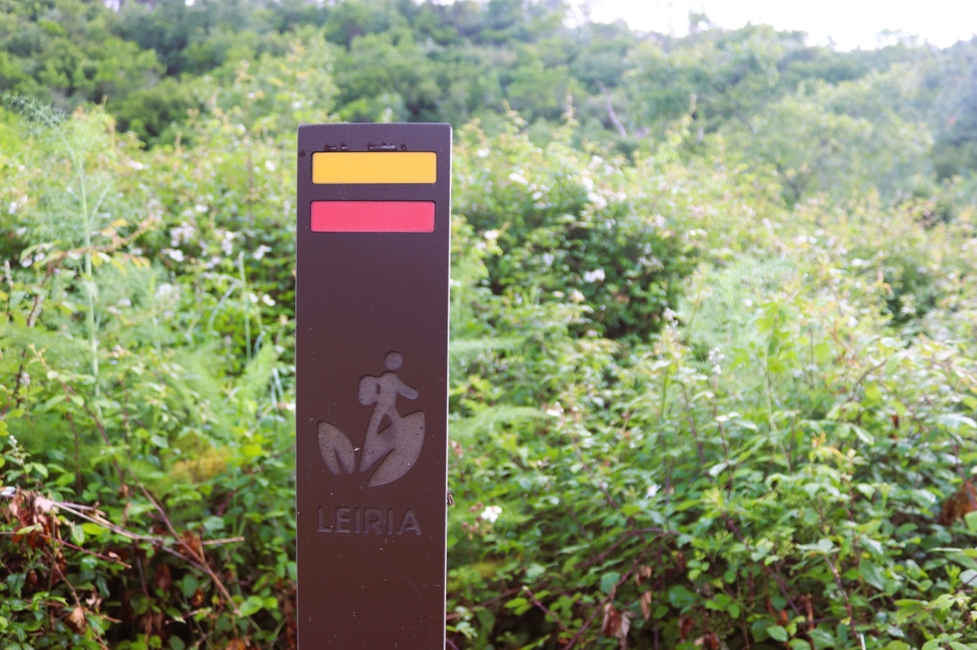Rede de Percursos Pedestres de Leiria regressa com 21 trilhos para explorar