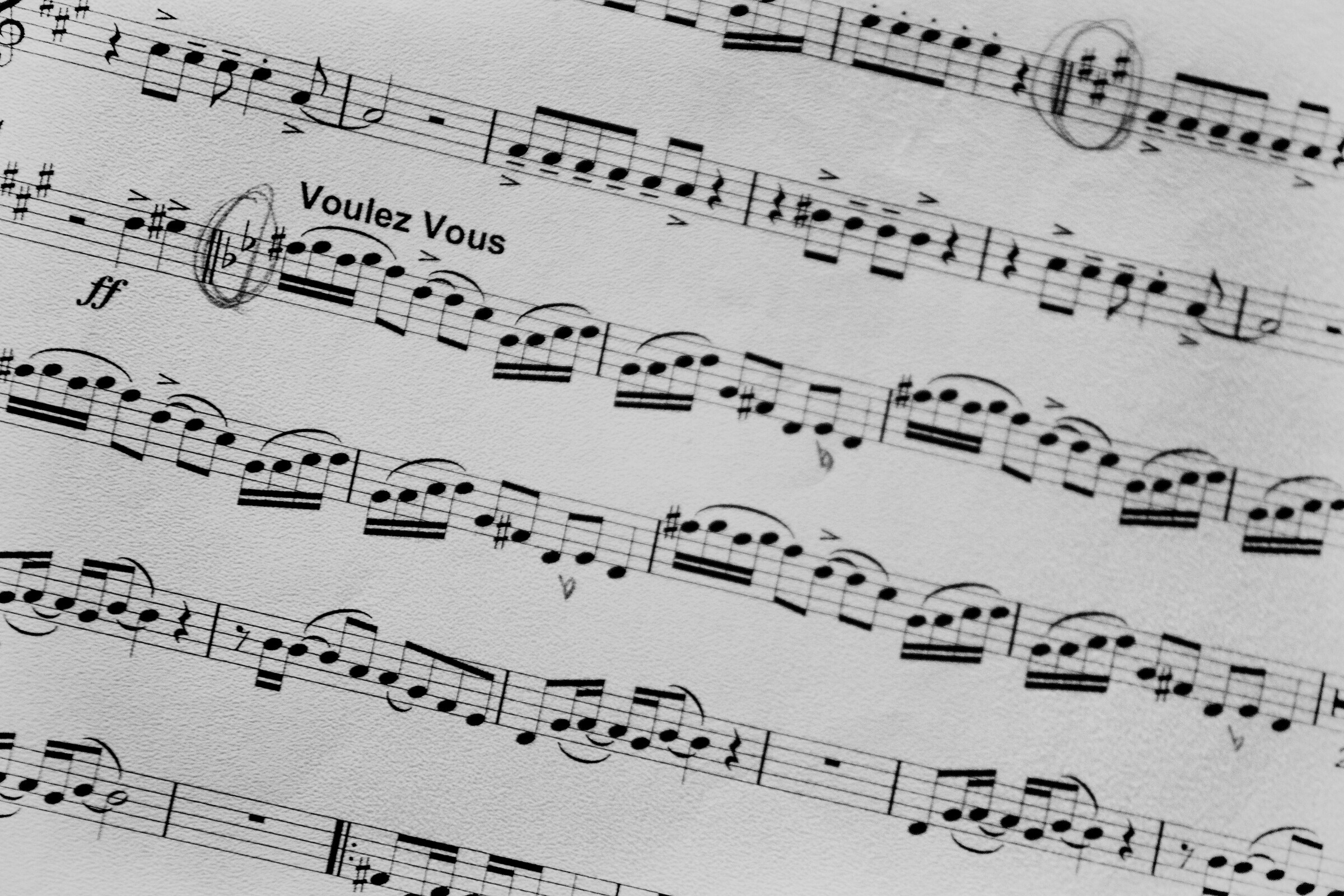 Câmara Municipal de Leiria reforça apoio financeiro às associações culturais em 2025