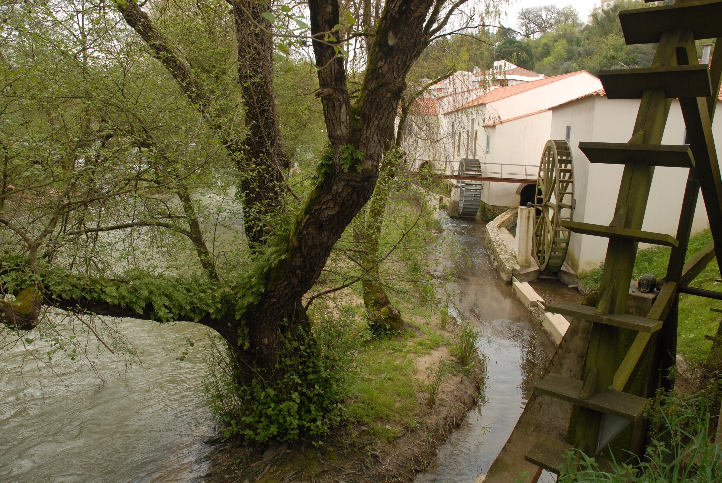Moinho do Papel recebe novo projeto “Amassar o Pão -Conversas sobre gastronomia da região de Leiria”