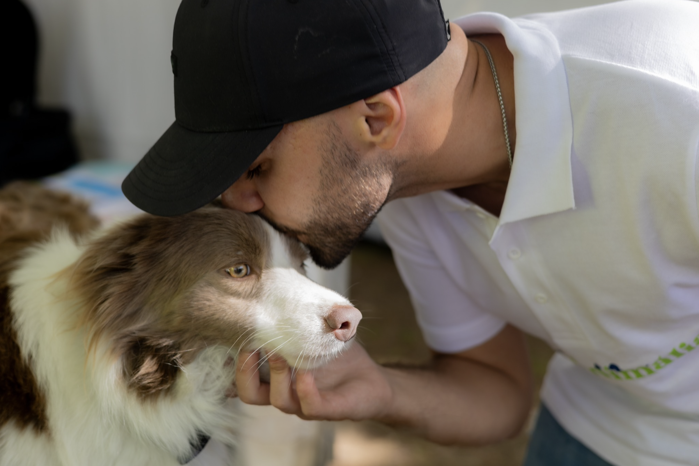 LeiriAnimália chega em setembro à Quinta do Faria, na Caranguejeira