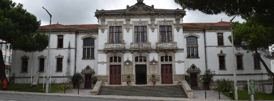 20250311_Cabe&ccedil;alho