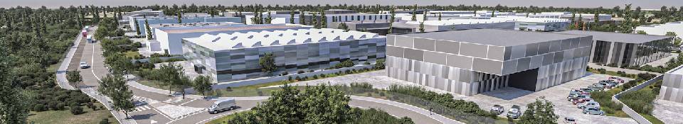 20250319_HastaP&uacute;blica_PEMR_Cabe&ccedil;alho