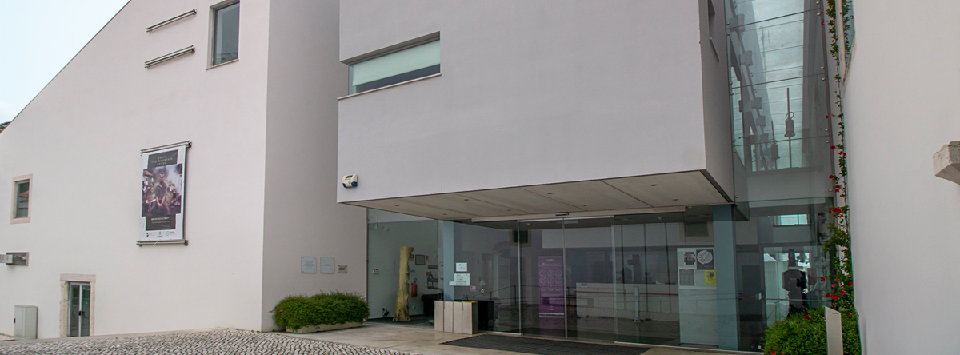 20250813_Cabe&ccedil;alho