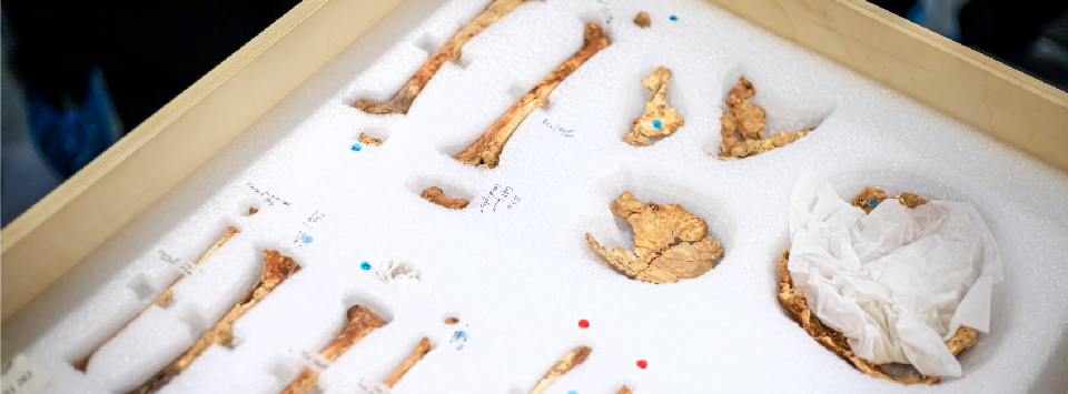 20250821_Cabe&ccedil;alho