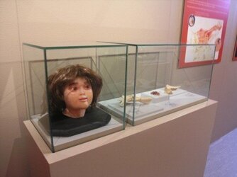 replica_do_menino_do_lapedo_1_2500_2500