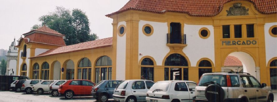 20250821_Cabe&ccedil;alho