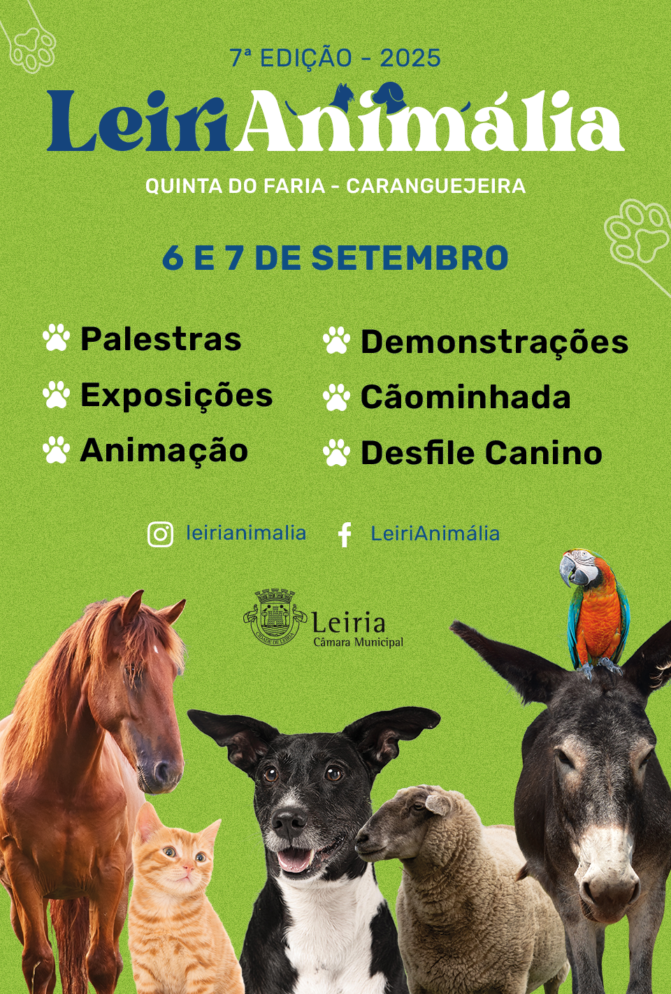 leiria_agenda_leirianimalia_1_2500_2500