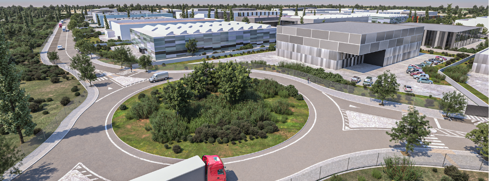 20260120_Cabe&ccedil;alho