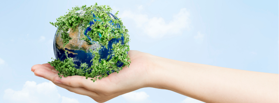 20260312_Cabe&ccedil;alho