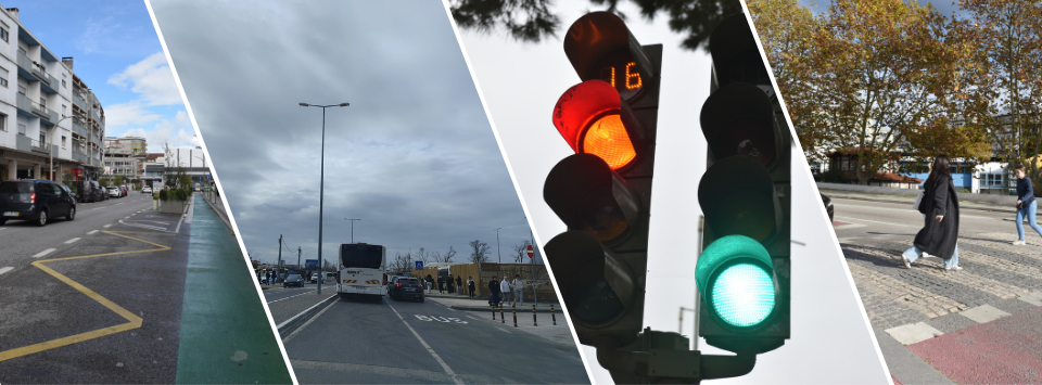 20260317_Cabe&ccedil;alho