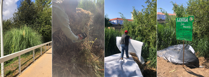 20260326_Foto_A&ccedil;&atilde;o_Pampa