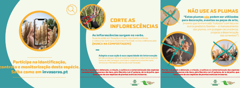 20260326_Imagem_Oquefazer+Oquen&atilde;ofazer