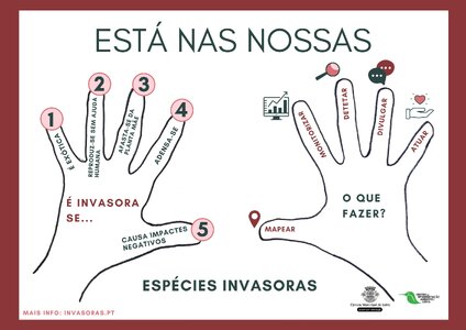 20260326_Est&aacute;nasnossasm&atilde;os