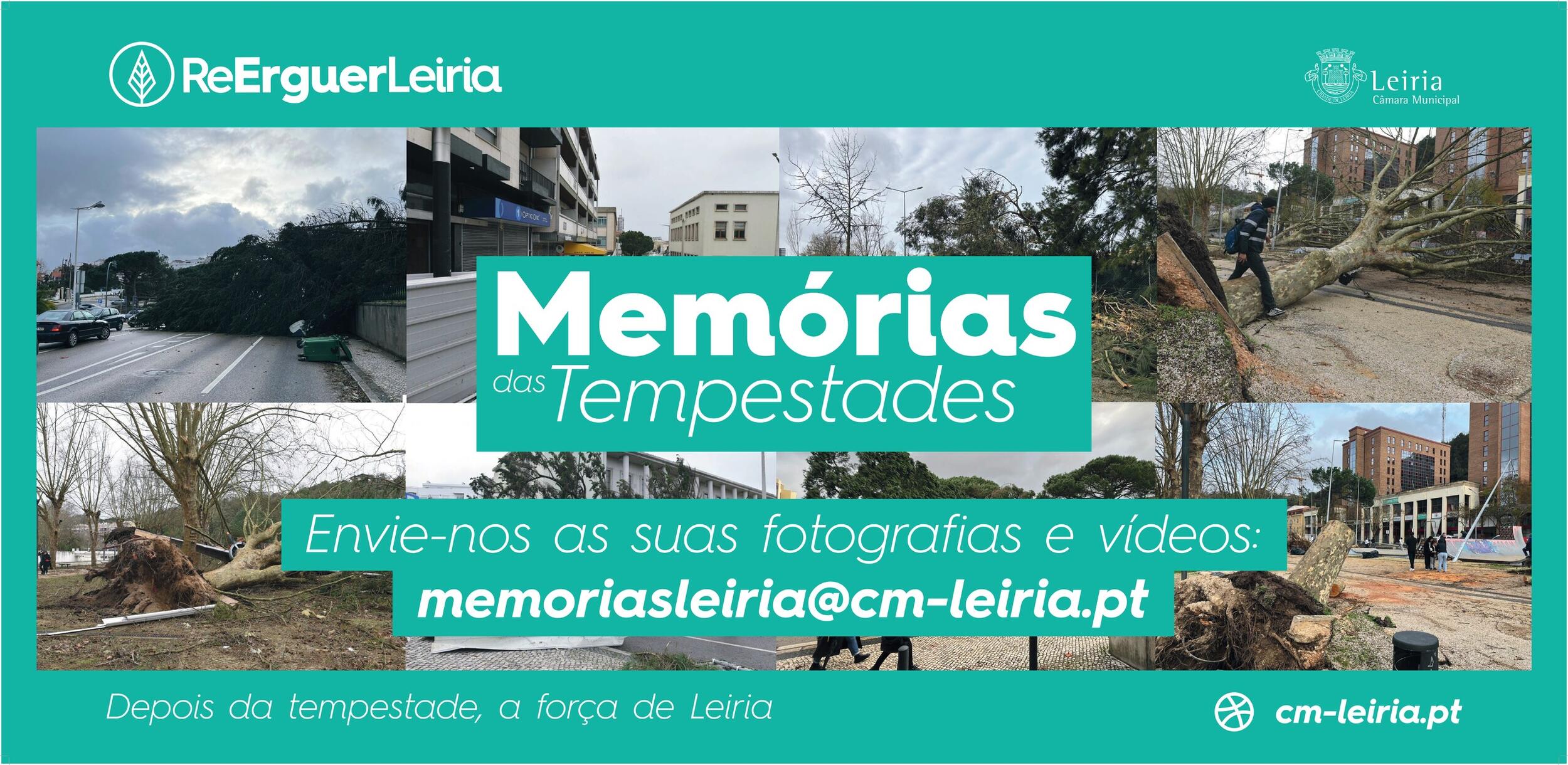 20260427_Cabe&ccedil;alho