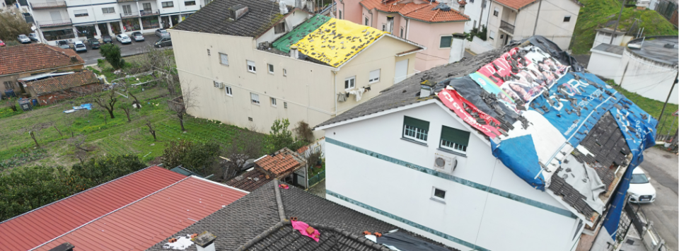 20260629_Cabe&ccedil;alho
