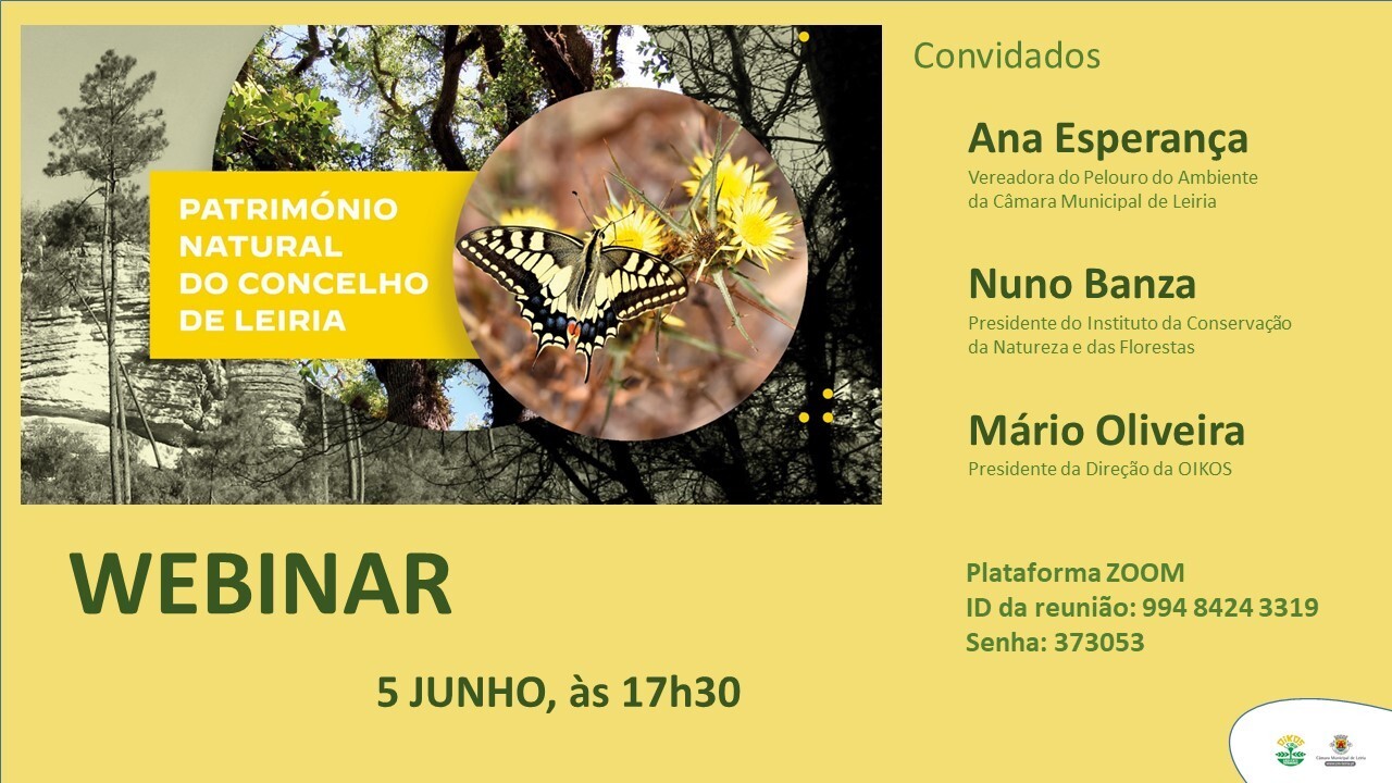 cartaz divulga&ccedil;&atilde;o