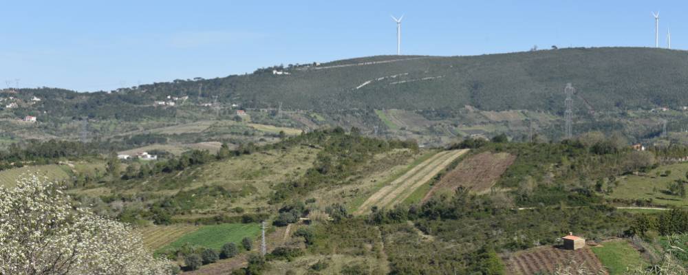 Senhora do Monte_Imagem